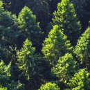 힐하우스 | 서울 호캉스 추천 그랜드워커힐 더글라스하우스 내돈내산 솔직후기