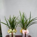 대훈유통 이미지