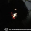 우정꽃방