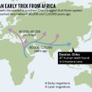 8만년~12만년전 이미 호모 사피엔스가 동아시아로 이주하였다? 이미지
