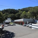 파인 관광농원 이미지