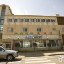 푸른 제주 이미지