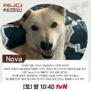 230115 tvn_joy인스타(빼꼼이(노바)) 이미지