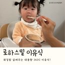 262 | 워킹맘 살려주는 ‘닥터리의 로하스밀 이유식’ 먹어본 후기(대용량 262g!)
