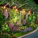 국제꽃식물원 이미지