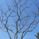 수원농생명과학고등학교 이미지