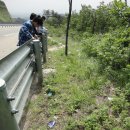 바다친구 이미지