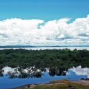 오리노코(orinoco) 이미지