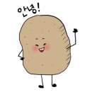 태닝데이