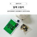 달래(Dalae) 이미지