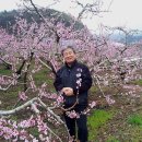 영천목장 네이버블로그