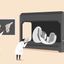 직업·진로코칭지도사양성과정 이미지