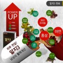 홍삼마을 - 북구 | 홍삼마을