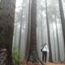 아트래블(ARTRAVEL) 이미지