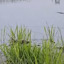 선두포낚시터 이미지