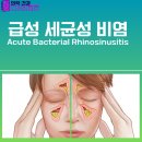 메디티오 이미지