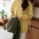 보송 이미지