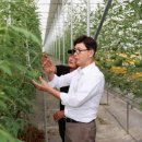 보성매일시장 이미지