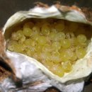 브리딩 팜 이미지