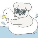 사랑펫살롱 이미지