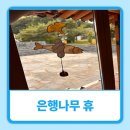 [충남] 아산 가볼만한 곳｜고불맹사성기념관 은행나무 휴 프로그램 후기