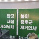 반딧불이 새집증후군 이미지