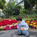 고향슈퍼 | 삼릉고향칼국수 생생정보통에 나와서 믿고 가봤더니 진짜 실망만 잔뜩 하고 온 찐찐찐찐 후기