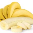 한서생물 이미지