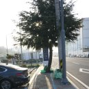 히든베이~하수종말처리장 | 여수 오동도 자전거여행 - 억지 춘향이 자전거길