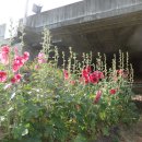 만안구청-1 이미지