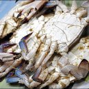 꽃게좋아 간장게장 이미지