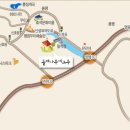 돌배나무 세그루 이미지