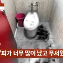 전*성 - 안양시 동안구 동편로 120 | 전*성