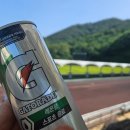 숲속파도소리 이미지