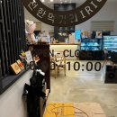 이리온 | 포천 일동면 자연을 담은 힐링카페 '팜앤카페 이리온' 방문 후기