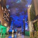 핑크고래 이미지