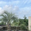 나롯 | 숙박기록 #27_나롯(제주, 제주서쪽숙소, 독채숙소, 3호실)