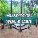느랭이골 자연휴양림 일반야영장 | 강원도 인제 용대자연휴양림 캠핑, 야영장 이용후기