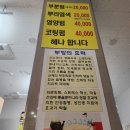 개미헤어아트