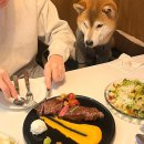 송도식당 | 송도 애견동반 식당 ‘다이너 송도점’ 후기, 스테이크 맛집, 주차·메뉴추천