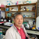 꿀벌 동물병원 이미지