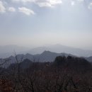 대전운수 주식회사 네이버블로그