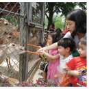 인천대공원 어린이 동물원을 다녀와서... 이미지