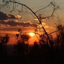 밴드홀릭 이미지