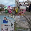 초대1리 마을회관 | 계룡 벚꽃축제 향적산 후기 반려견동반가능축제 주차 꿀팁