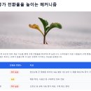 매출이 늘어나는 &#39;리뷰 마케팅&#39; 비법: 고객 후기 200% 활용법