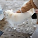 볼몽길하우스