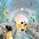 고실초교병설유치원 이미지