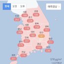 카페진정성