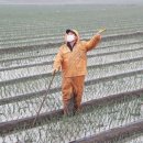 배화학교 이미지